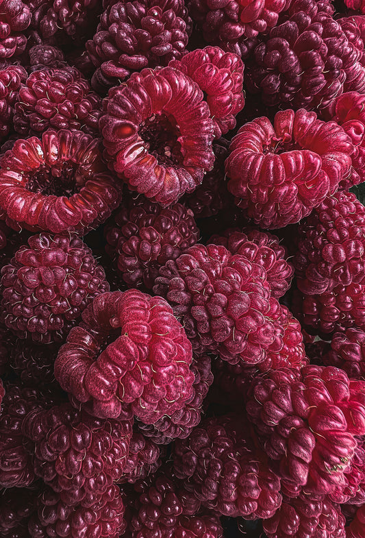 Raspberry Glycidate