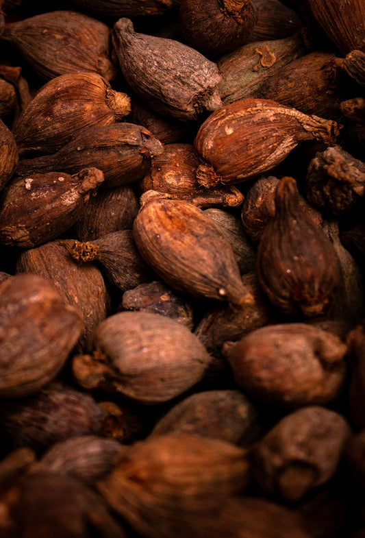 Tetramethyl Pyrazine